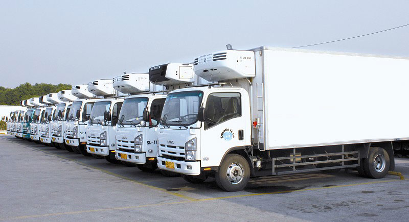 嘉興到資陽物流公司|嘉興物流到資陽(市縣鎮-均可) 嘉興到資陽物流公司|嘉興物流到資陽(市縣鎮-均可)